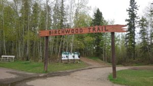 birchwood-trail-head