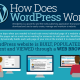 How-does-wordpress-work