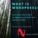 What is wordpress - from nyche marketing